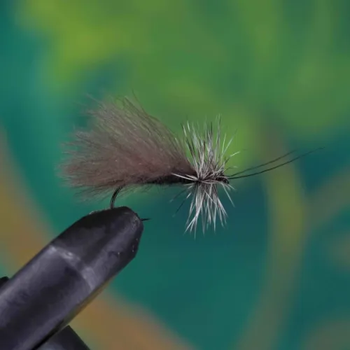 High Rider CDC Sedge Black