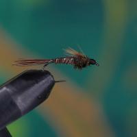 Flashback Pheasant Tail
