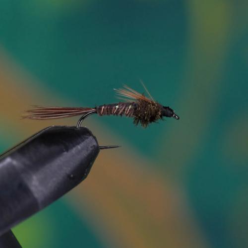 Flashback Pheasant Tail