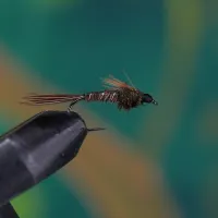 Flashback Pheasant Tail