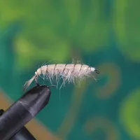 Minimal Pattern Sand Light Nymph