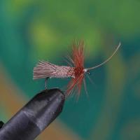 Deer Hair Sedge Natural