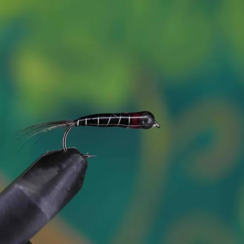 Perdigon Nymph Black Red
