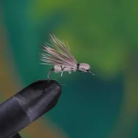 Running Caddis