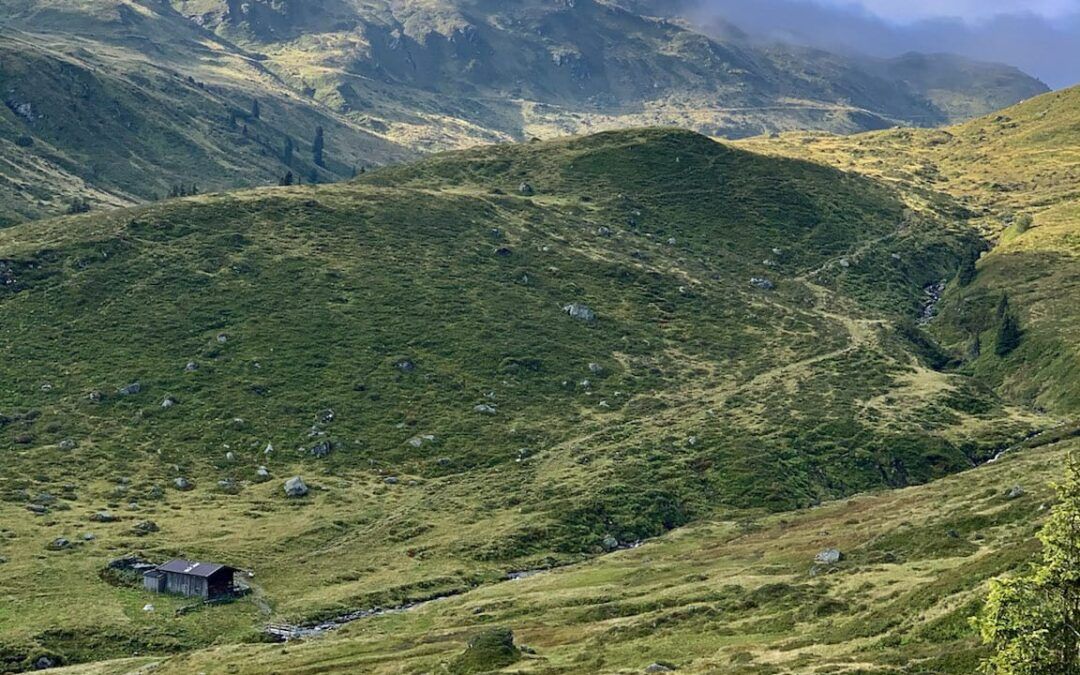 Rosswildalm – Wildalmseen – Ein natürliches Konzept