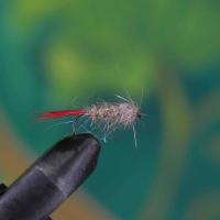 General Pattern Red Tail