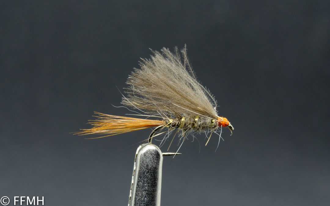 CDC Hares Ear Orange