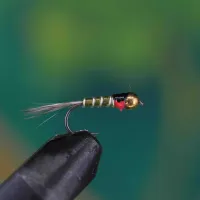 Red Point Ripp Nymph Olive