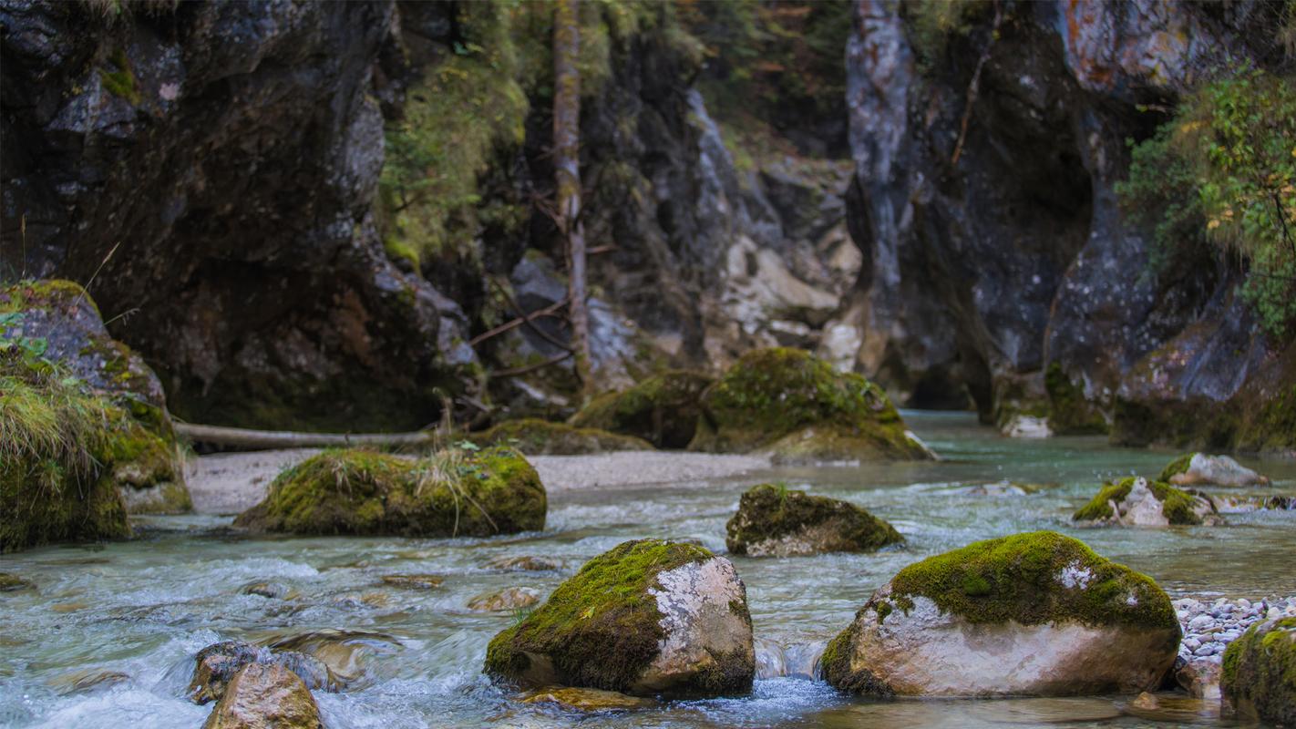 Fliegenfischen mit Herz