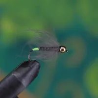 Gold Head Brown Body Green Tail