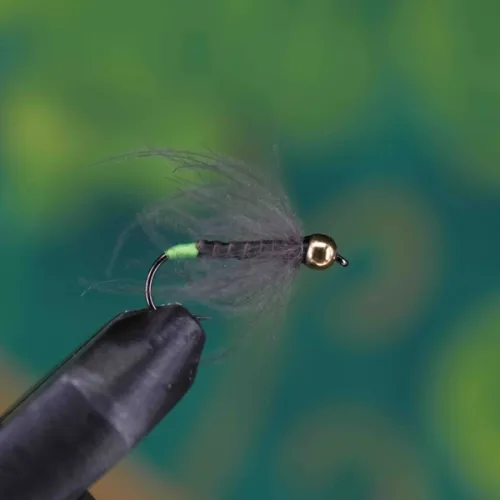 Gold Head Brown Body Green Tail