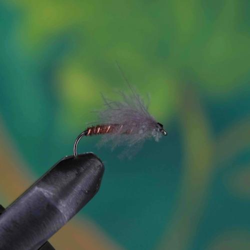 CDC Delta Wing Stonefly