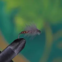 CDC Delta Wing Stonefly