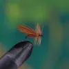 Cinnamon Sedge