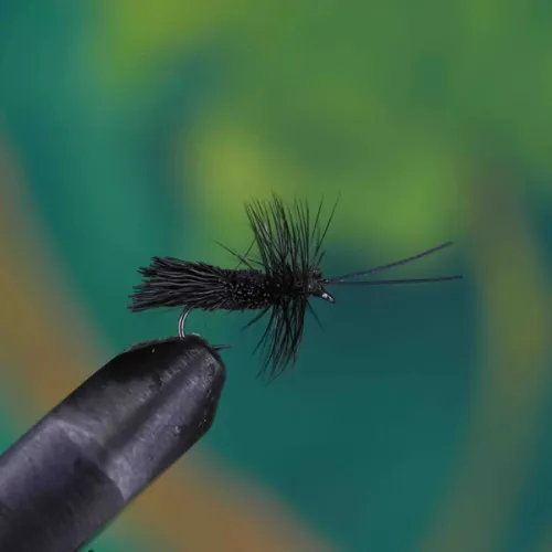 Goddard Caddis Black
