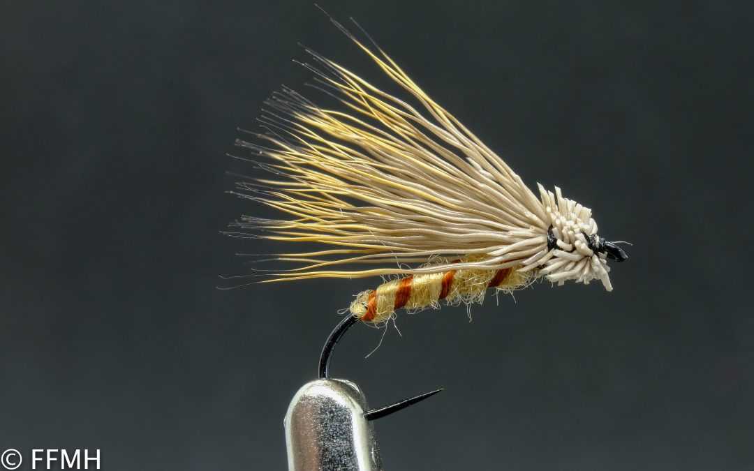 Streakling Caddis Tan