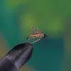 Partridge Orange Spider