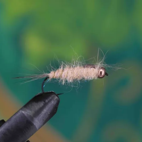 Minimal Pattern Bright Nymph