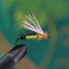 Silver Sedge Pupa
