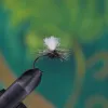 No Body Fly