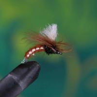 Woven Klinkhammer Brown