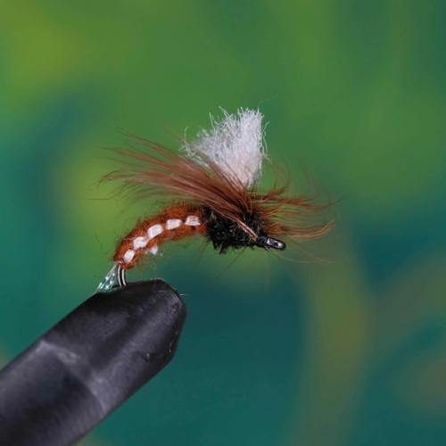 Woven Klinkhammer Brown