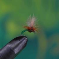 CDC Klinkhammer Green