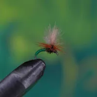 CDC Klinkhammer Green