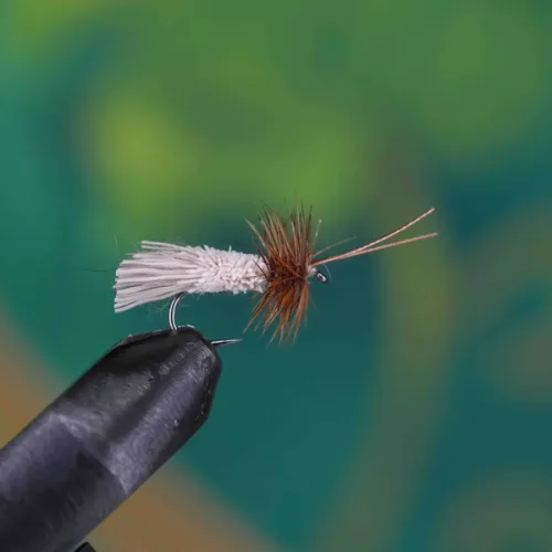 Goddard Caddis Natural