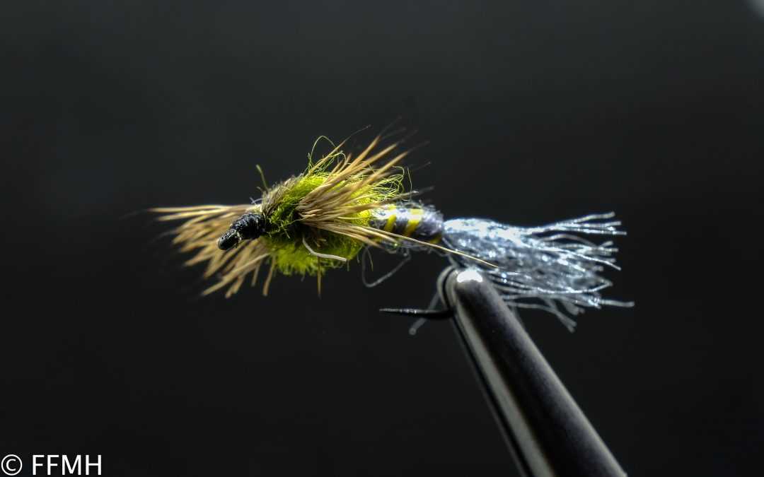 Spent Split Wing Dun