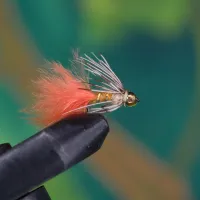 Orange Tail Nymph