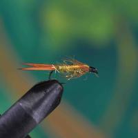 Light Bright Prince Nymph Yellow