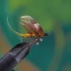 Invicta Wet Fly