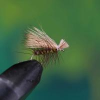Elk Hair Caddis Olive