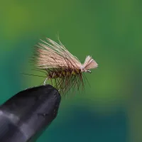 Elk Hair Caddis Olive
