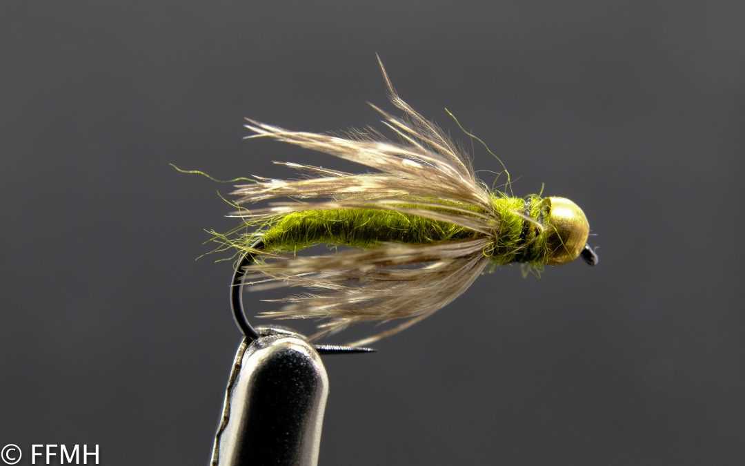 Head Caddis Pupa Nymph