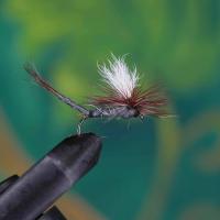 Parachute Extended Body Adams May Fly