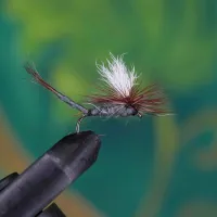 Parachute Extended Body Adams May Fly