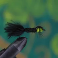 Montana Green Nymph
