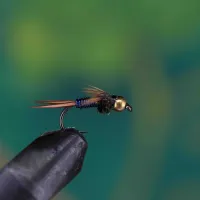 Copper John Blue Wine