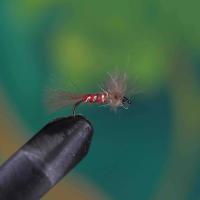 Split Wing Emerger