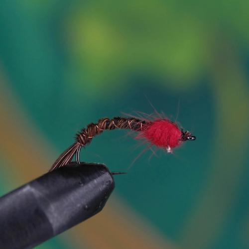 Pheasant Tail Steel Red