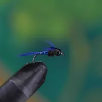 Golden Nugget Hares Ears