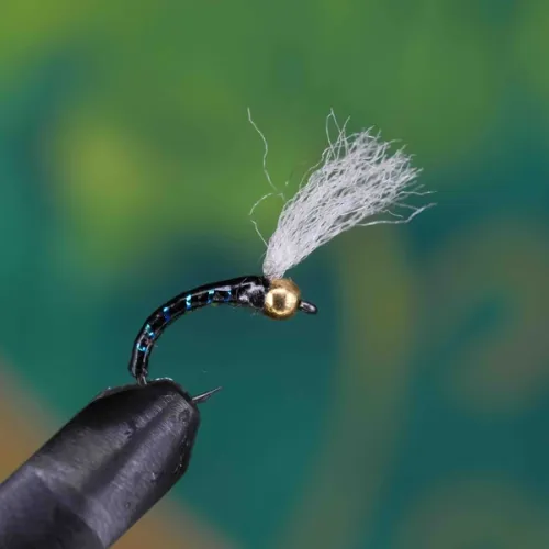 Gold Head Glass Blue Epo Curved