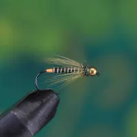 Gold Head Wripped Spider Green