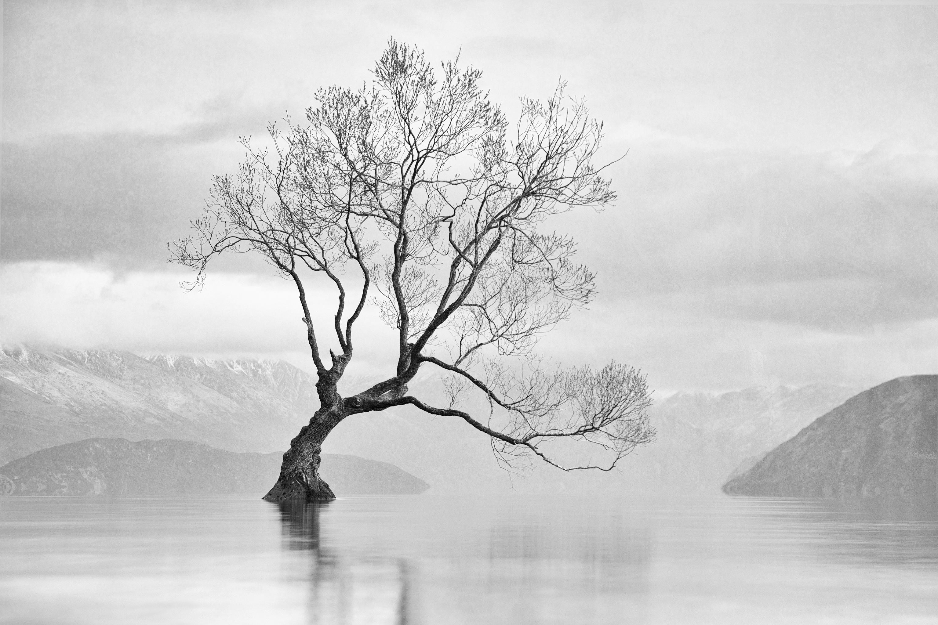 Solitude - Digital Download