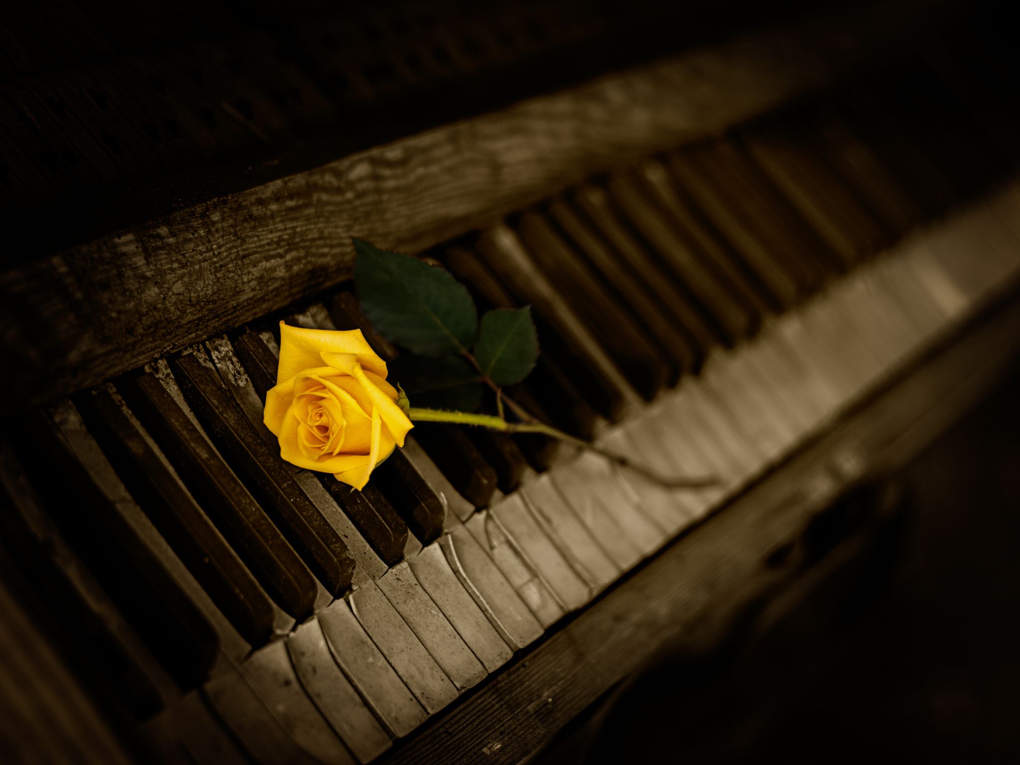 Abandoned Dreams