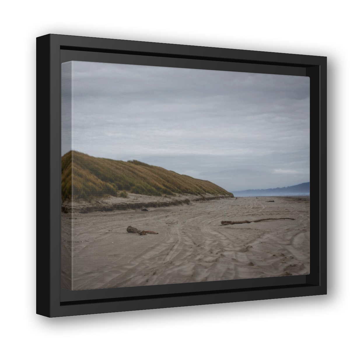 Windswept and Interesting :: Framed Canvas