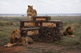 Nairobi National Park