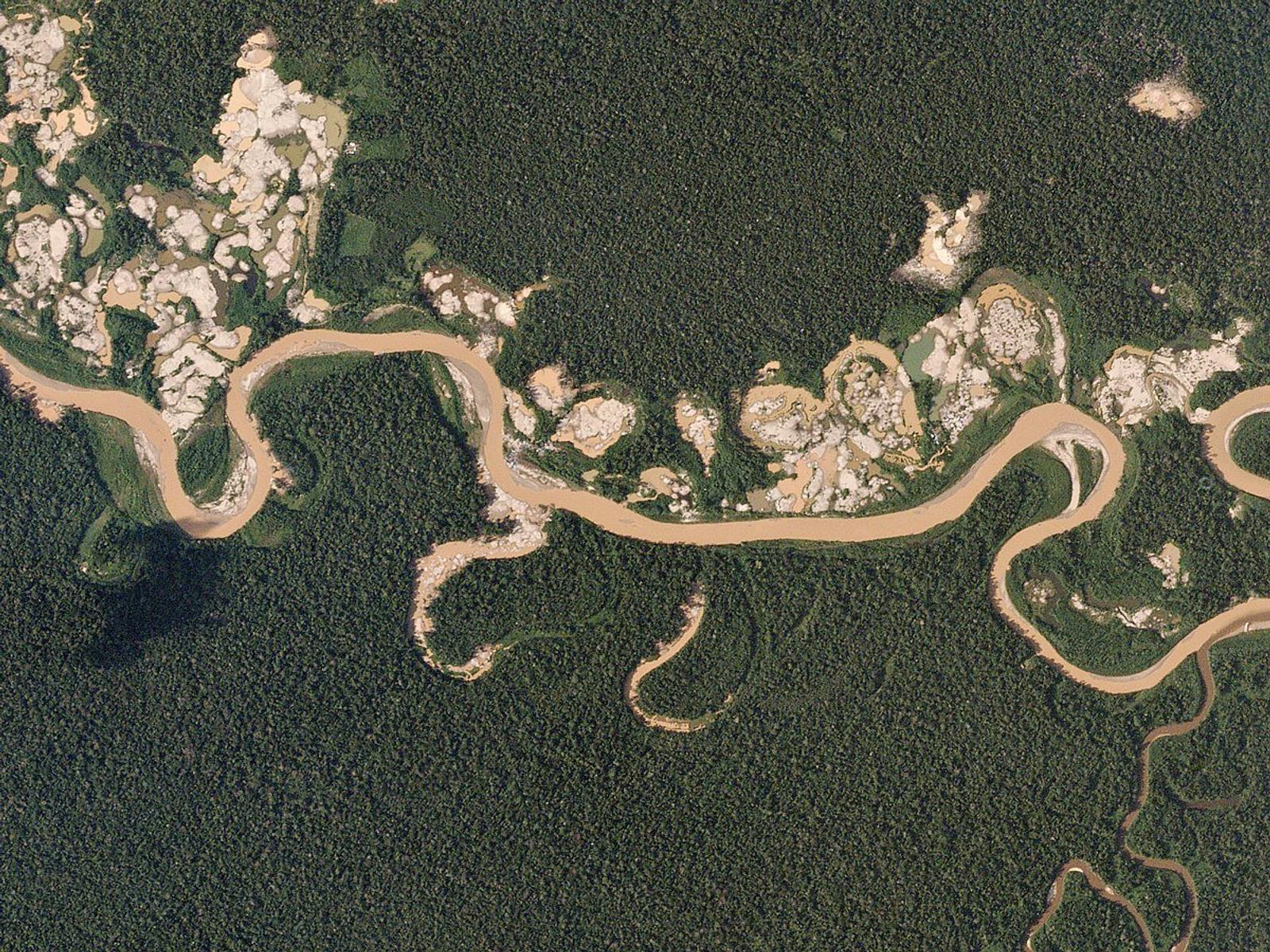 Sustainable Livelihoods as an Alternative to Illegal Mining (Part II)